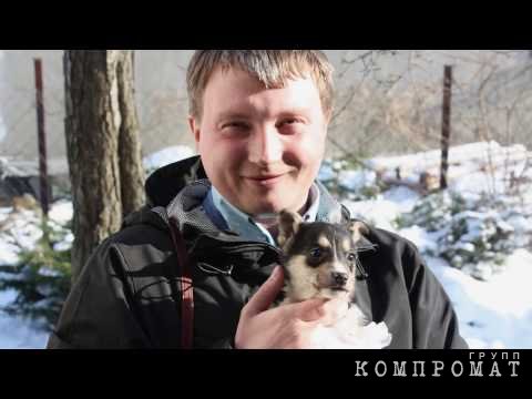 Михаил Костяев